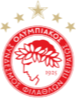 Logo Olympiakos (Youth)