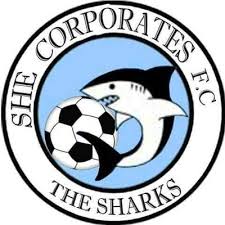 Logo She Corporate Women