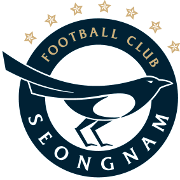 Logo Seongnam FC