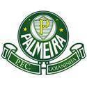 Logo Palmeira RN