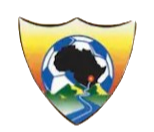 Logo Royal Vision